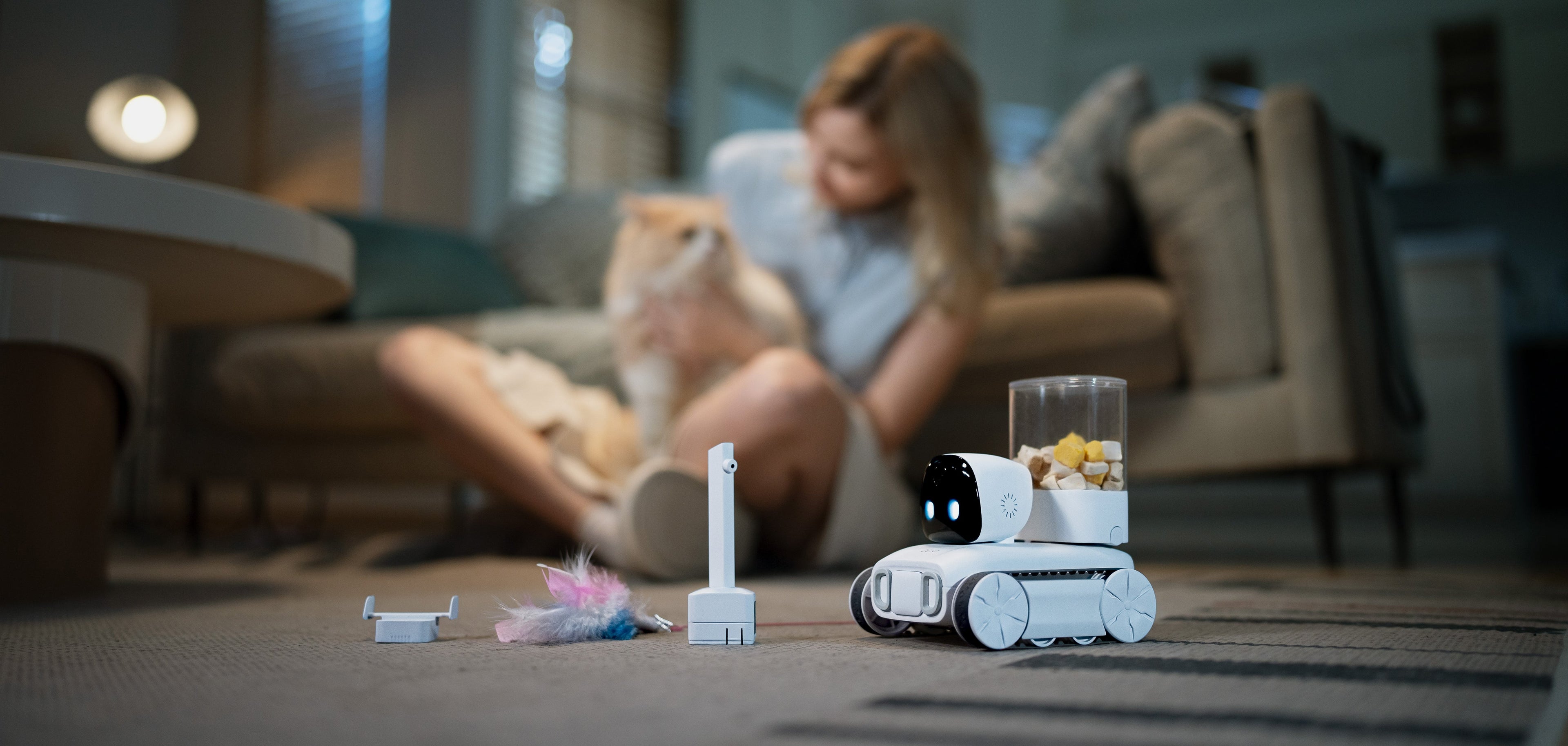 客户真实故事：KitteCube 如何重塑宠物与主人的生活