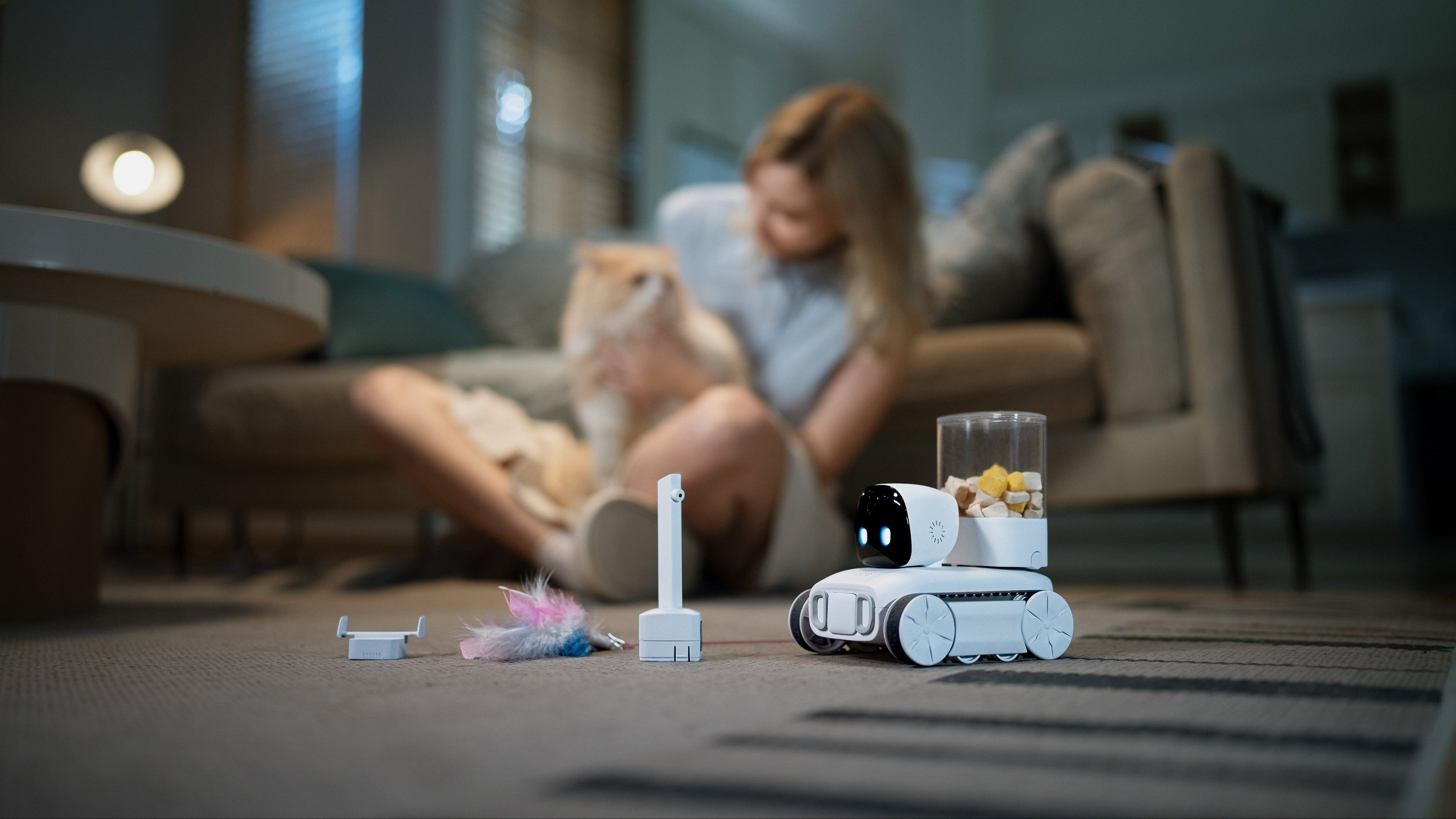 Customer Stories: How KitteCube Transformed Life for Pets and Their Humans