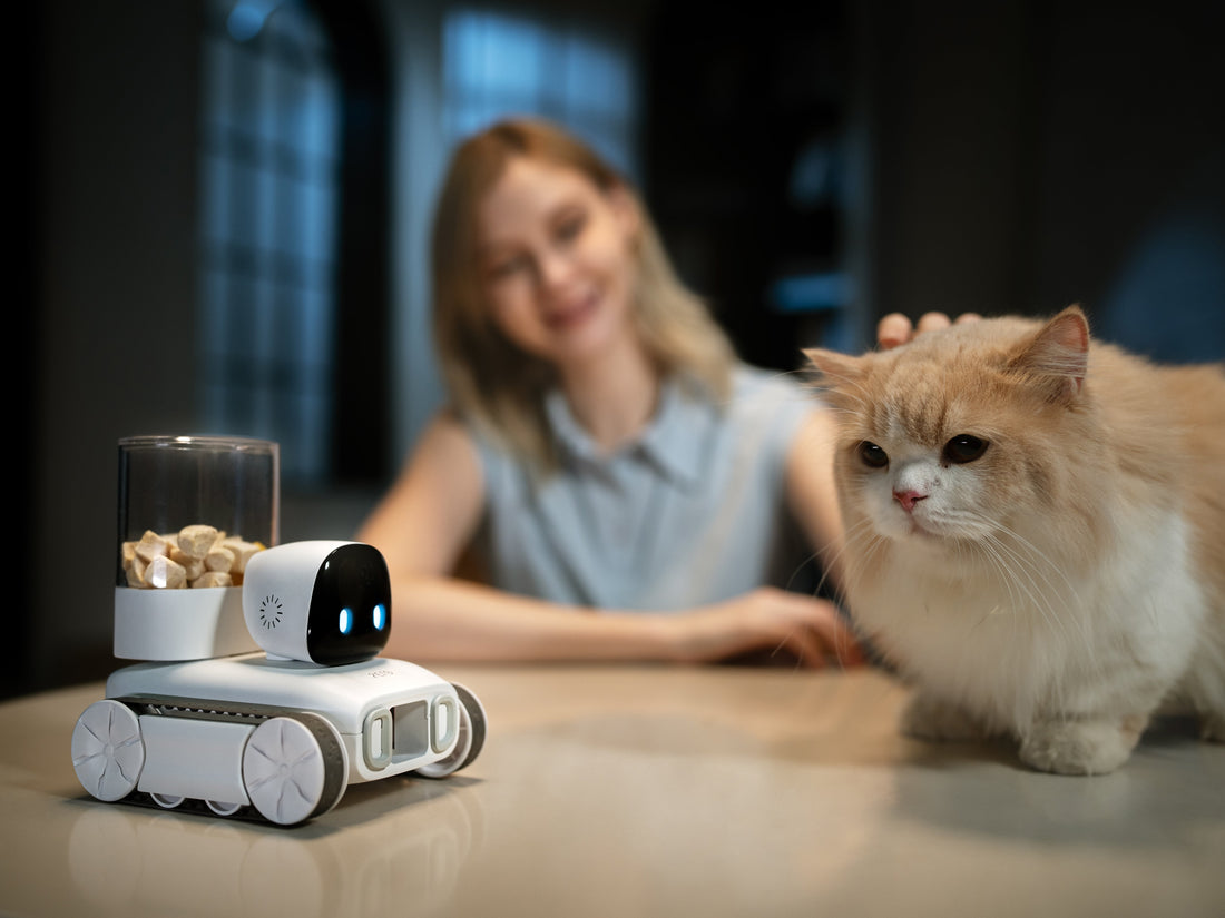 KitteCube: Redefining Pets Companionship