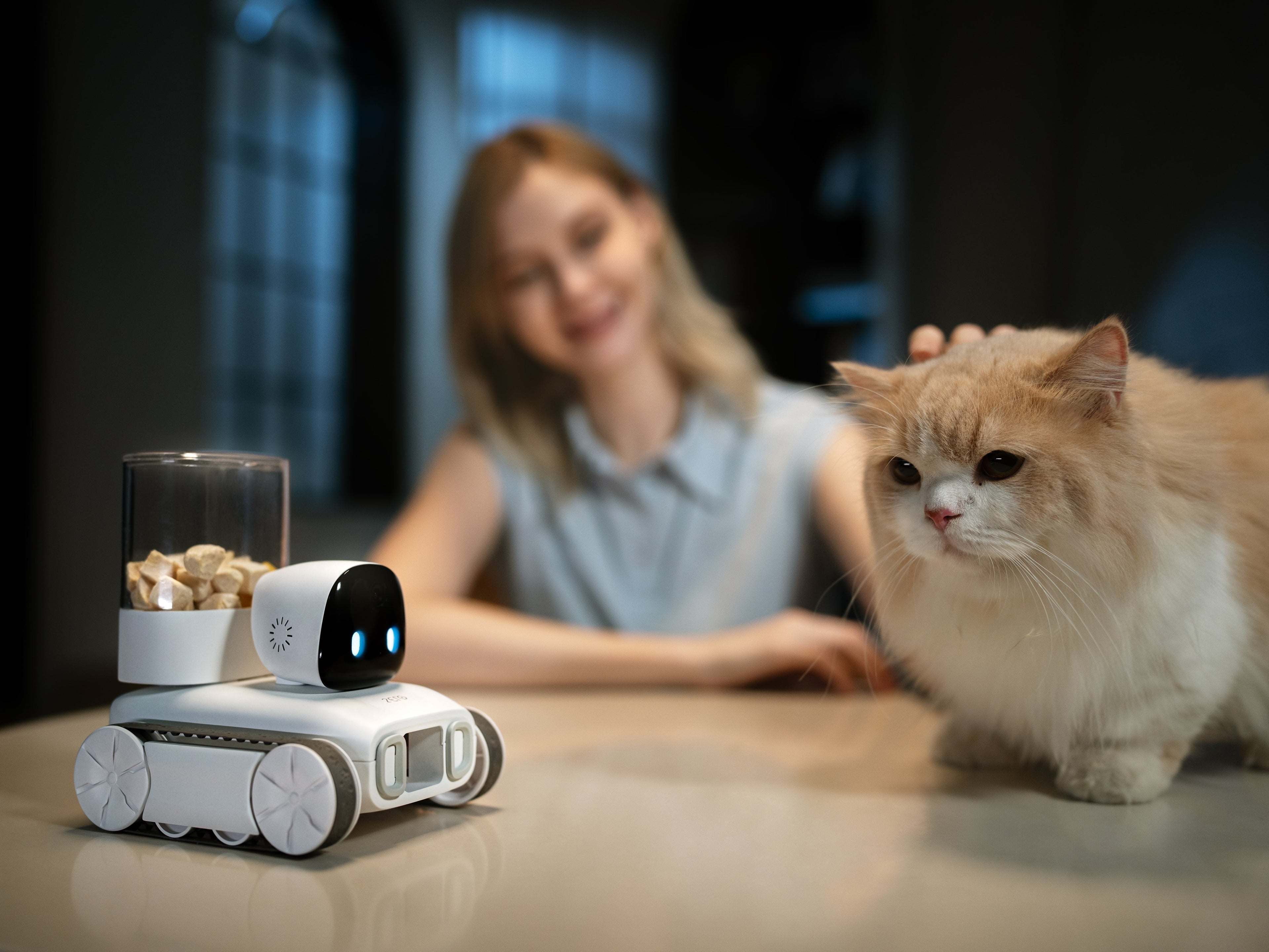 KitteCube: Redefining Pets Companionship