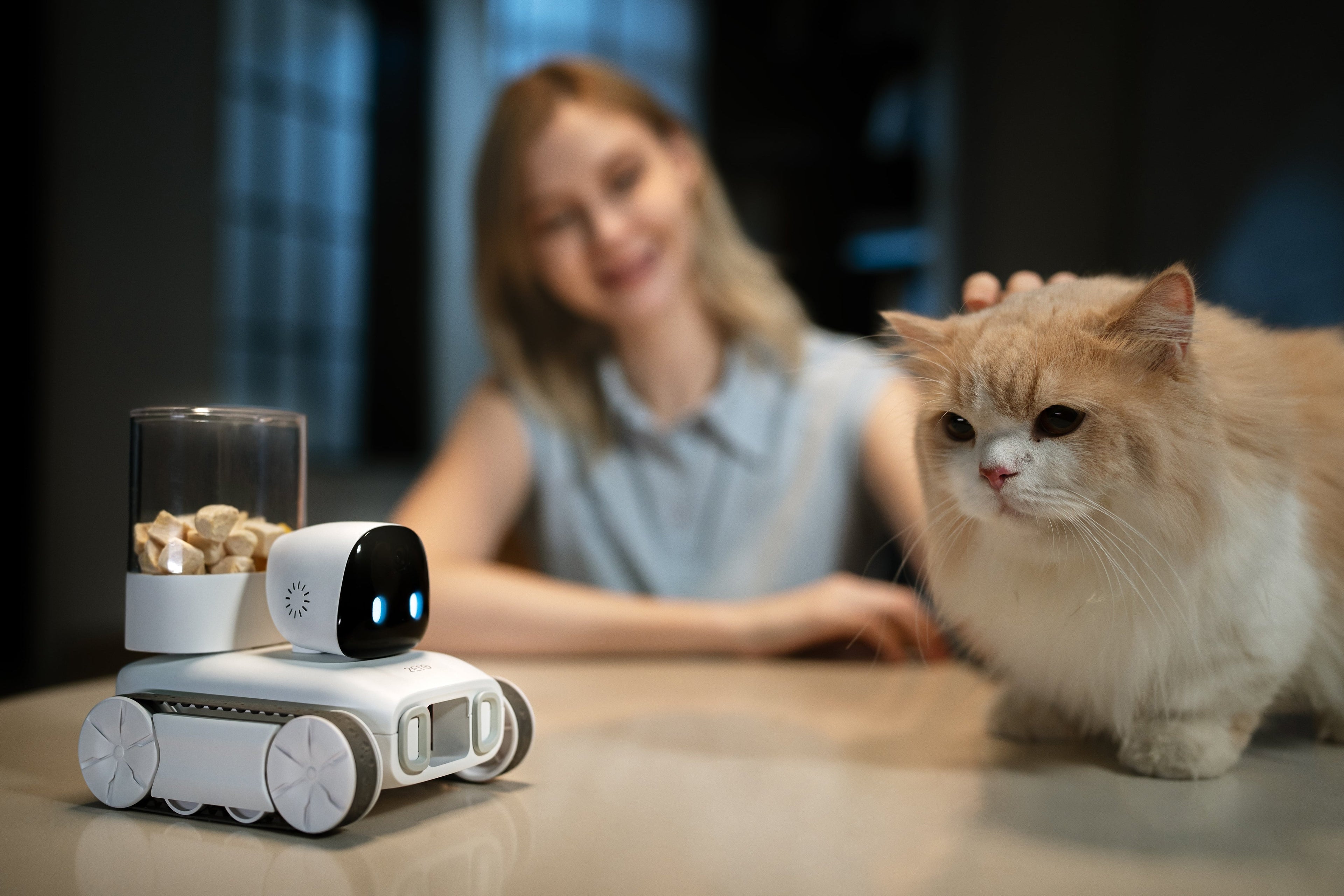 KitteCube 产品介绍：一款多功能宠物互动神器